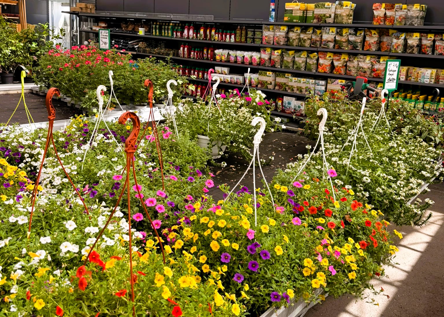 Monheimer Blumenmarkt